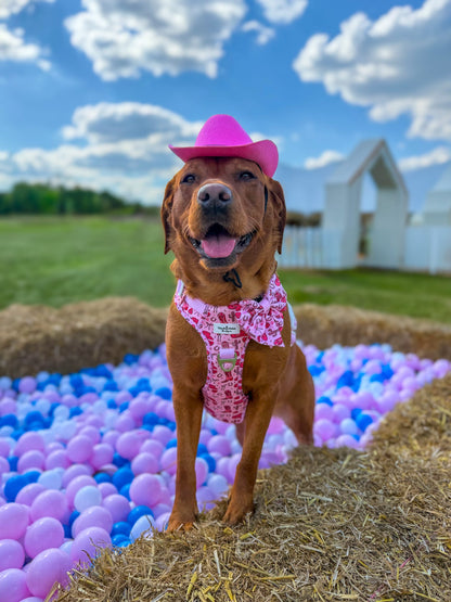 The Giddy up Pup Adventure Paws Harness
