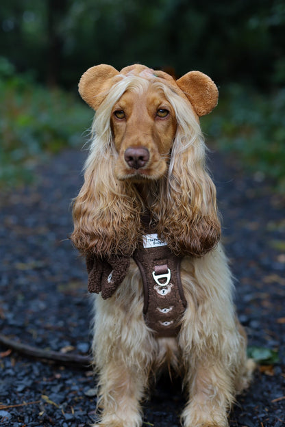 The Embroidered Little Bear Cub Adventure Paws Harness