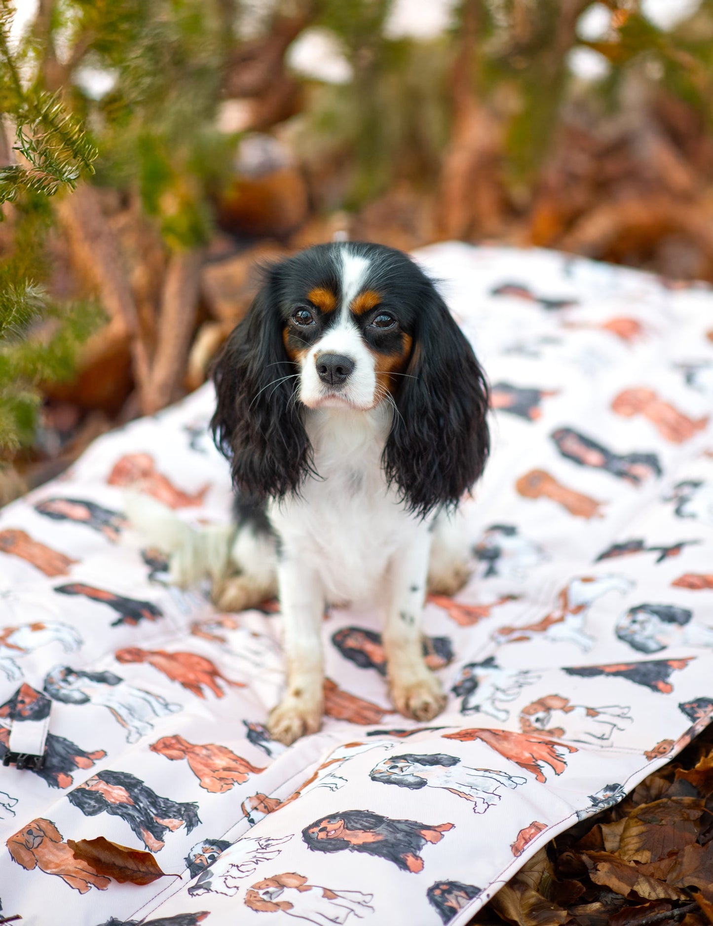 The Cavalier Travel Mat