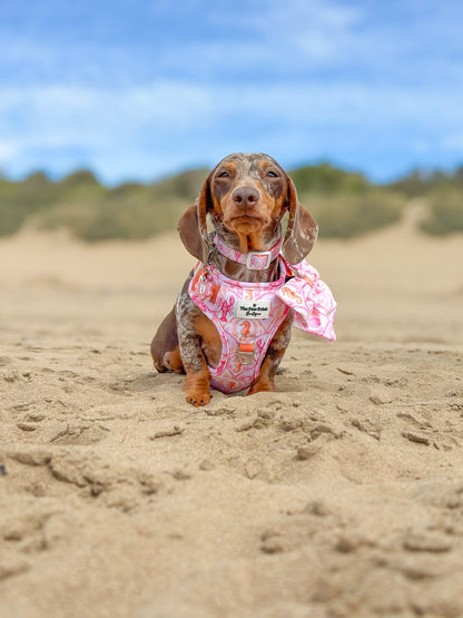 Under the Sea Paws Harness