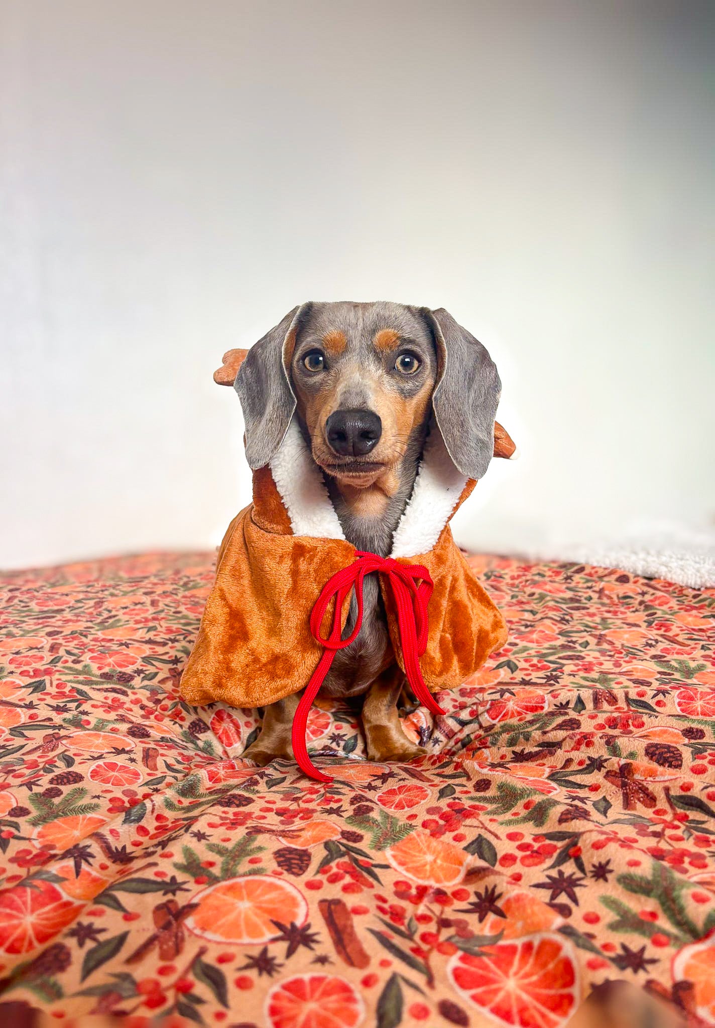 Winter Scents Human Blanket