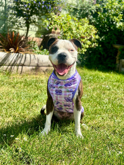 The Blueberry Gingham Cooling Vest