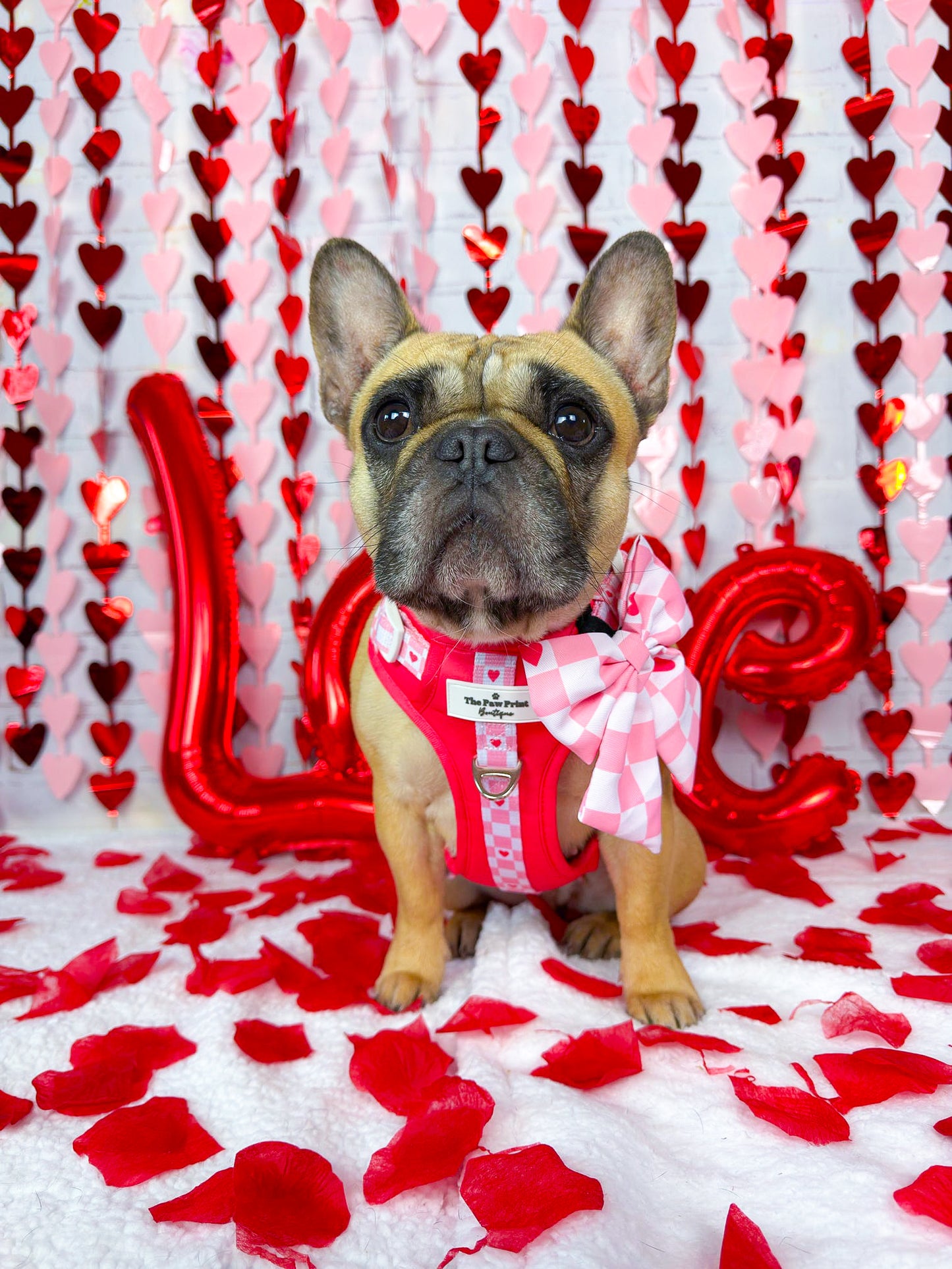 The Fur-ever Love Adventure Paws Harness