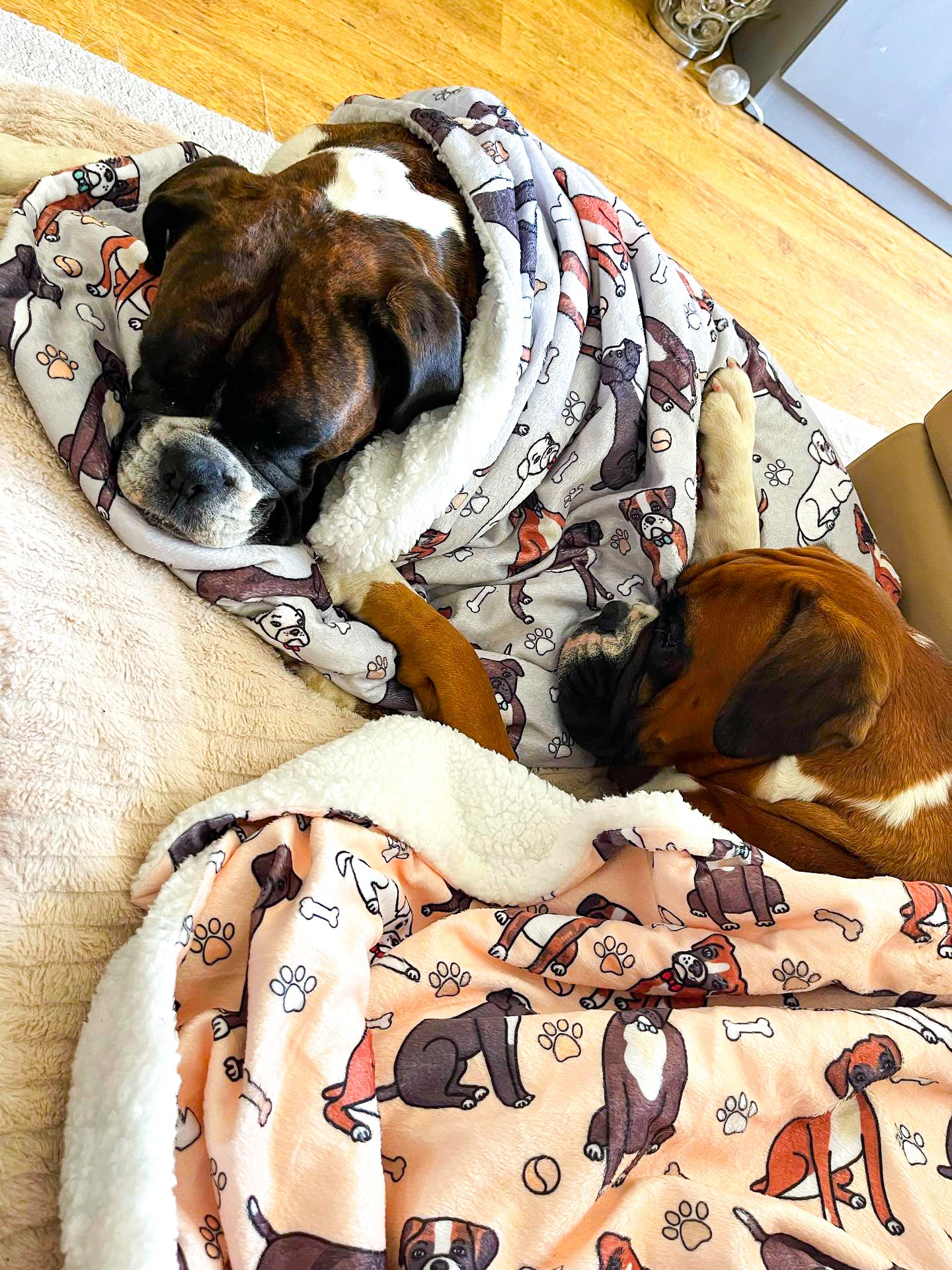 The Boxer Dog Blanket - Beige