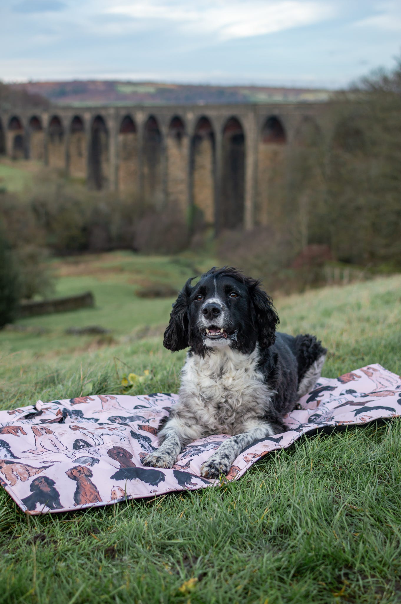 The Spaniel Travel Mat