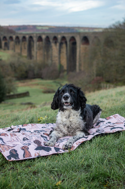 The Spaniel Travel Mat