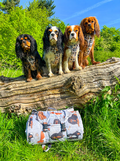The Cavalier Picnic Mat