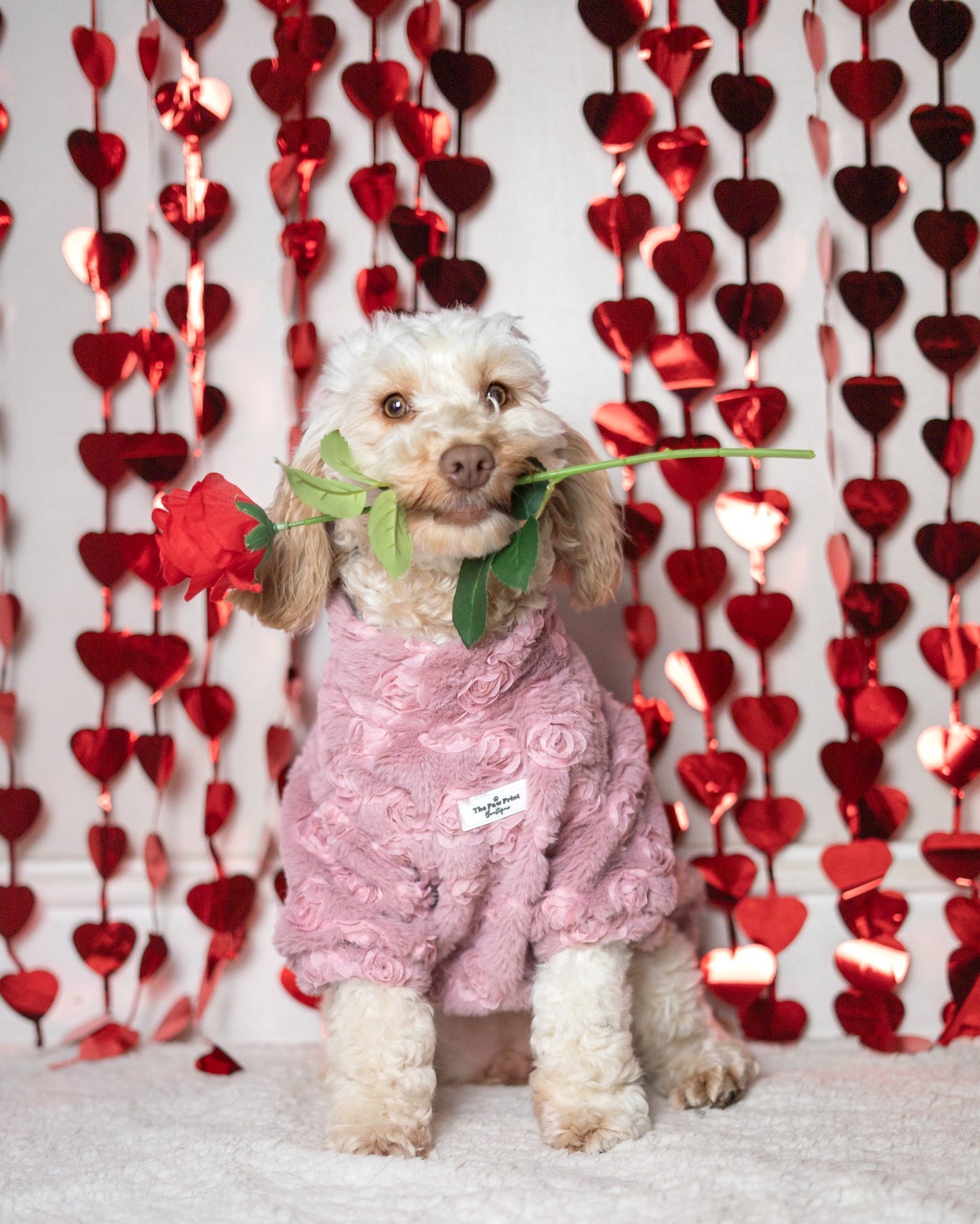 The Roses Fleece - Pink