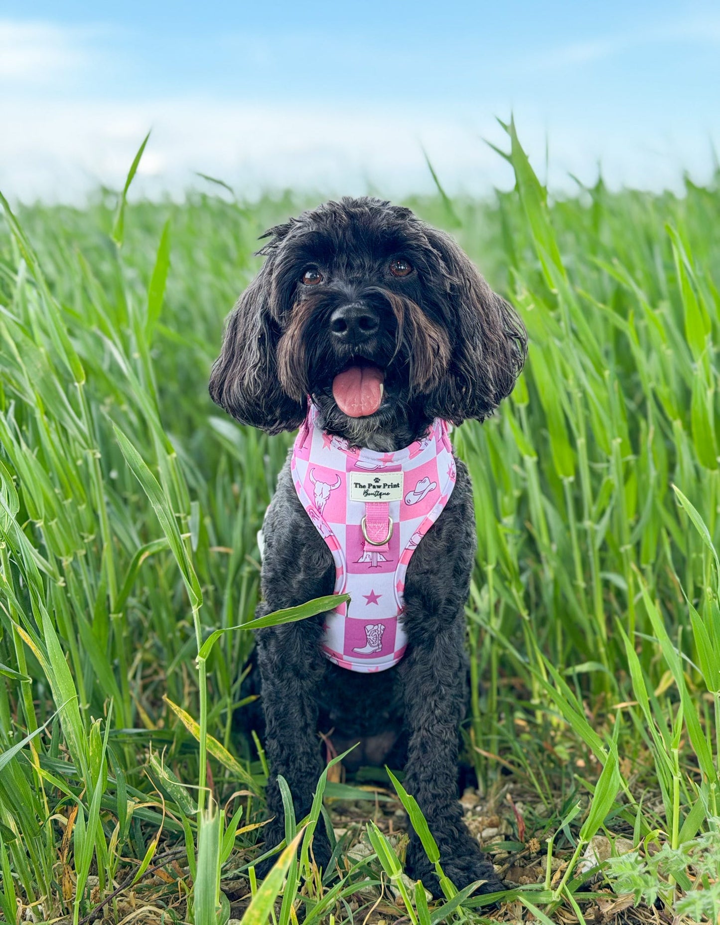 Cowgirl Cutie Adjustable Harness