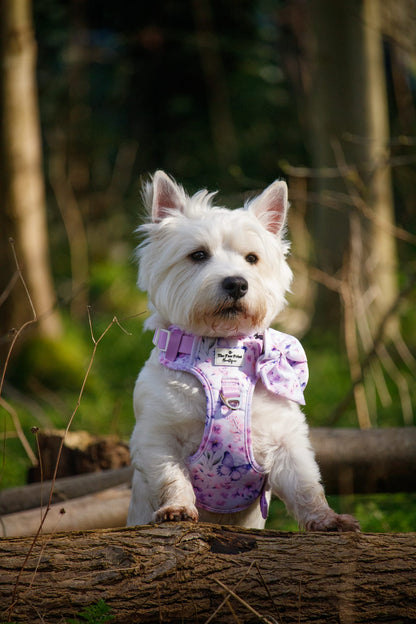 Butterfly Bliss Adventure Paws Harness