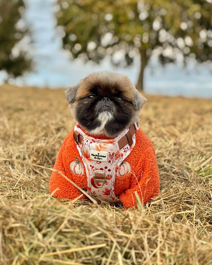 Maple Meadows Adventure Paws Harness