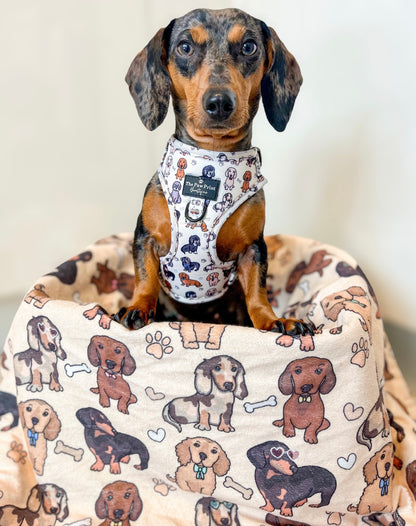 The Dachshund Adjustable Harness