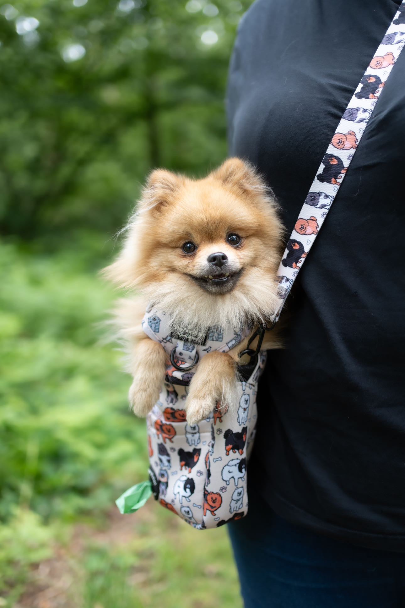 The Pomeranian Dog Walking Bag
