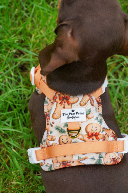 Gingerbread Grove Adventure Paws Harness