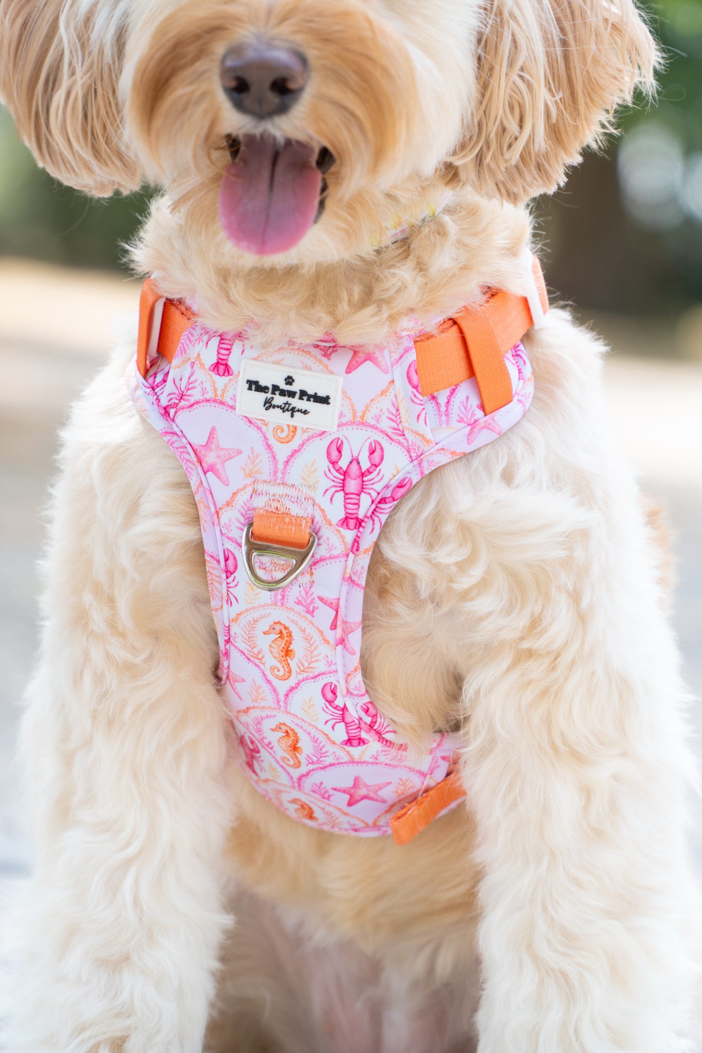 Under the Sea Paws Harness