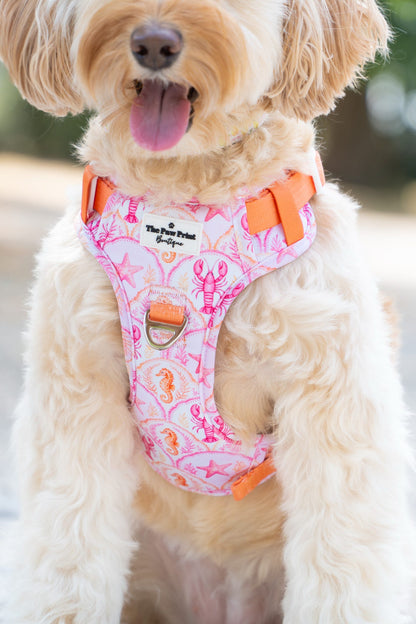 Under the Sea Paws Harness