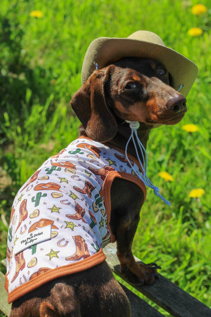 The Howdy Pawtner Cooling Vest