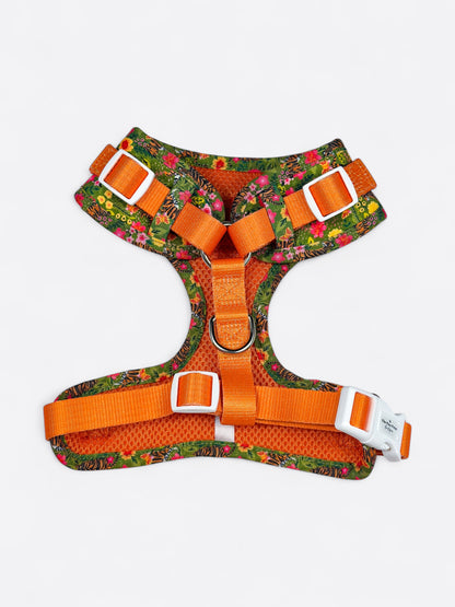 The Tiger who came to TPPB Adjustable Harness