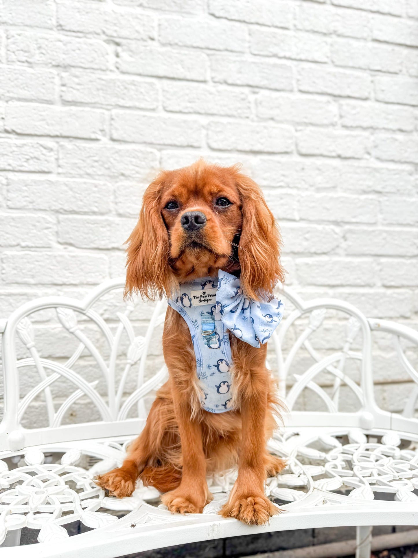 Percy Penguin Bow Tie