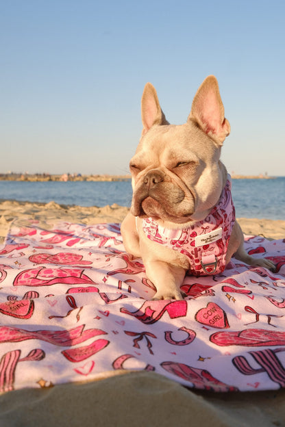 Giddy up Pup Beach Towel