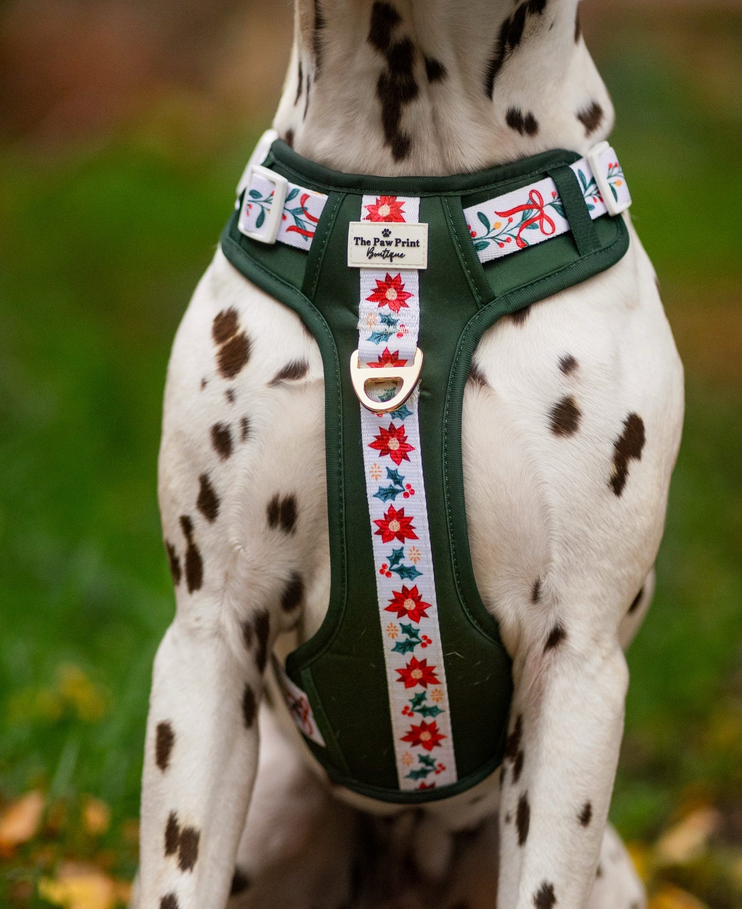 Festive Traditions Adventure Paws Harness