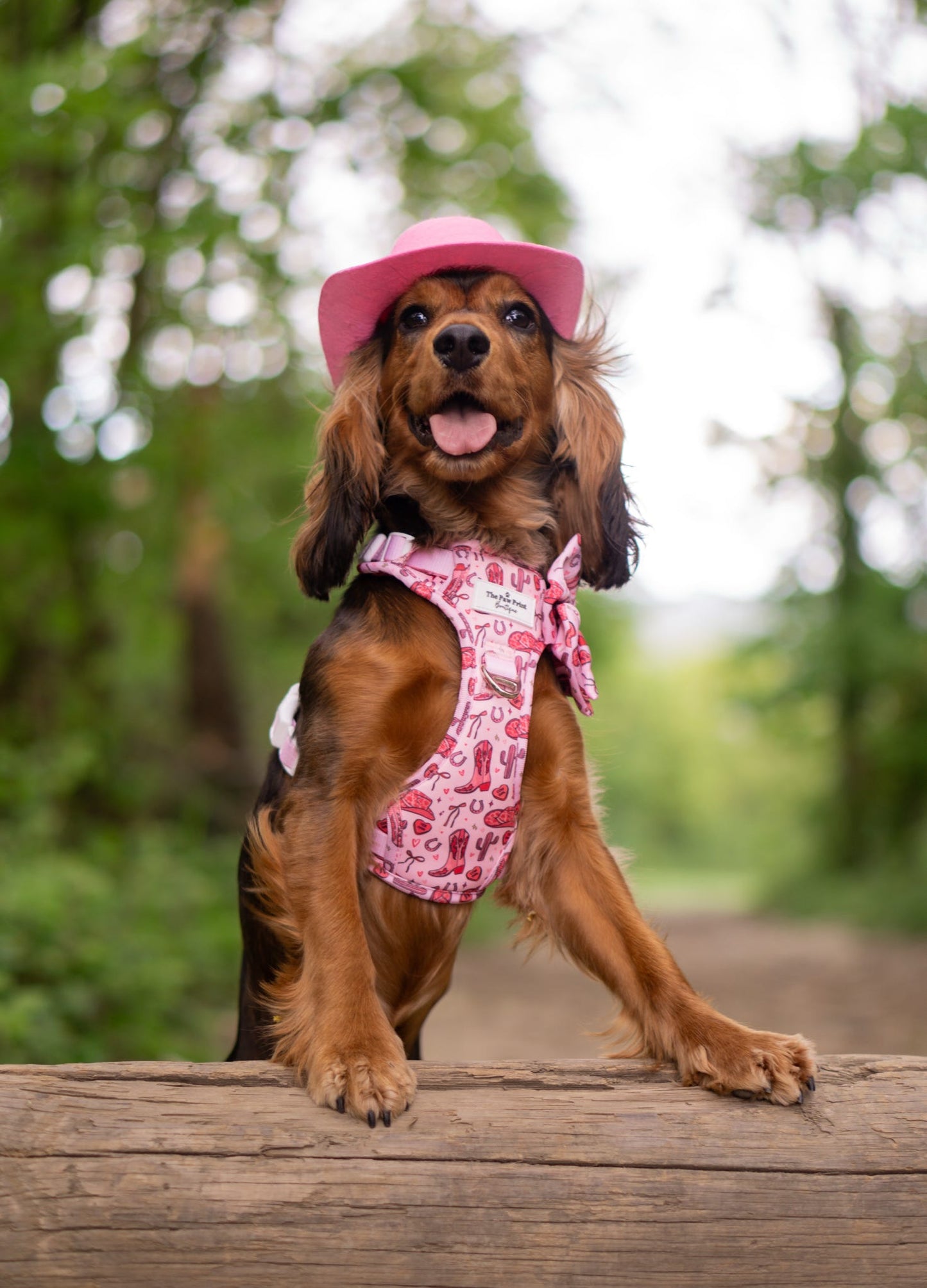 The Giddy up Pup Adventure Paws Harness