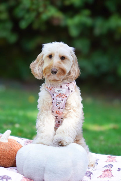 Spice Girl Adventure Paws Harness