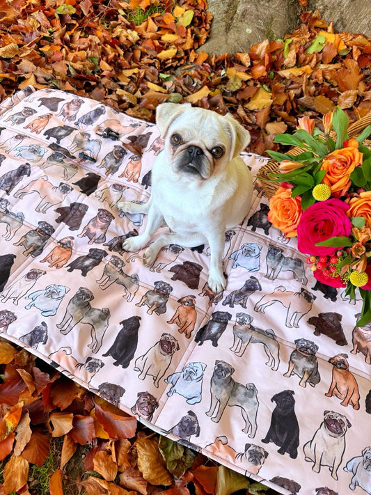 The Pug Travel Mat