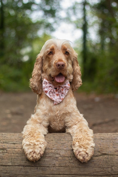 Spike the Hedgehog Bow Tie