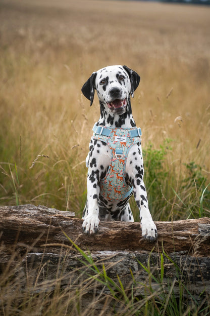 Bambi in Bloom Adventure Paws Harness