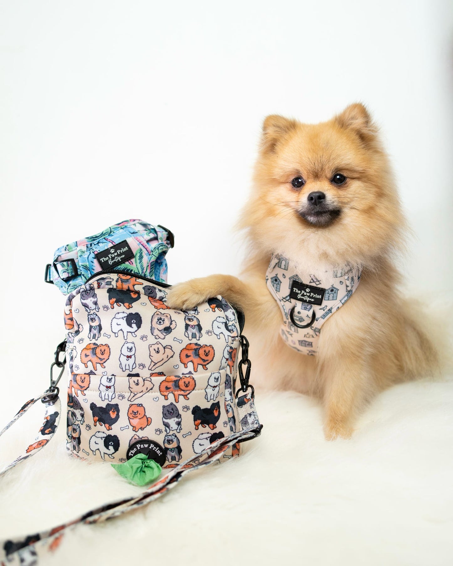 The Pomeranian Dog Walking Bag