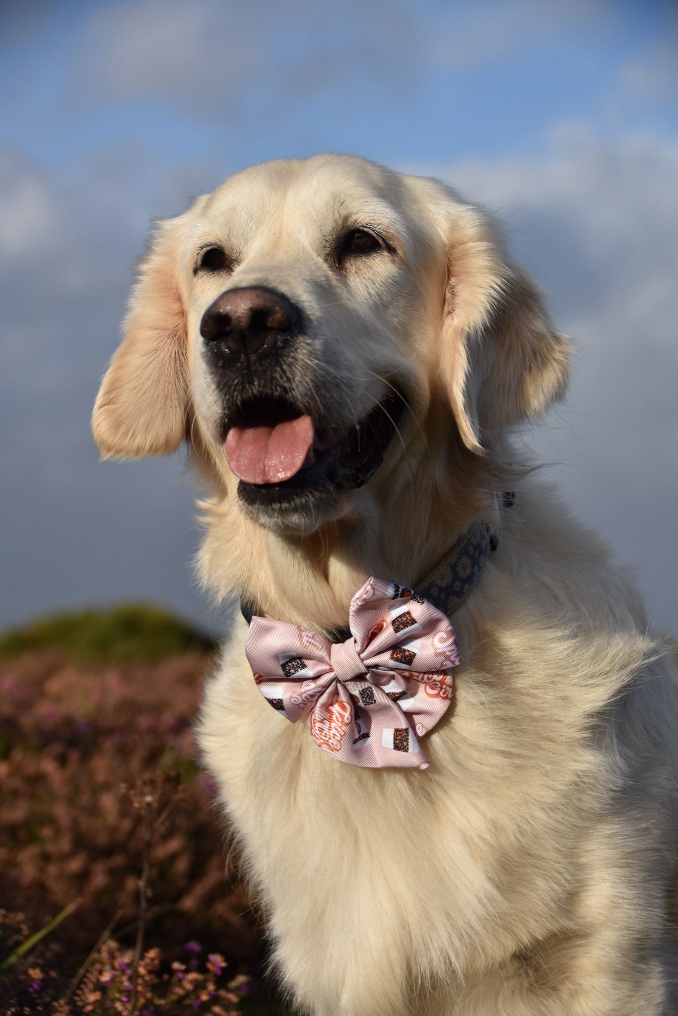 Spice Girl Bow Tie