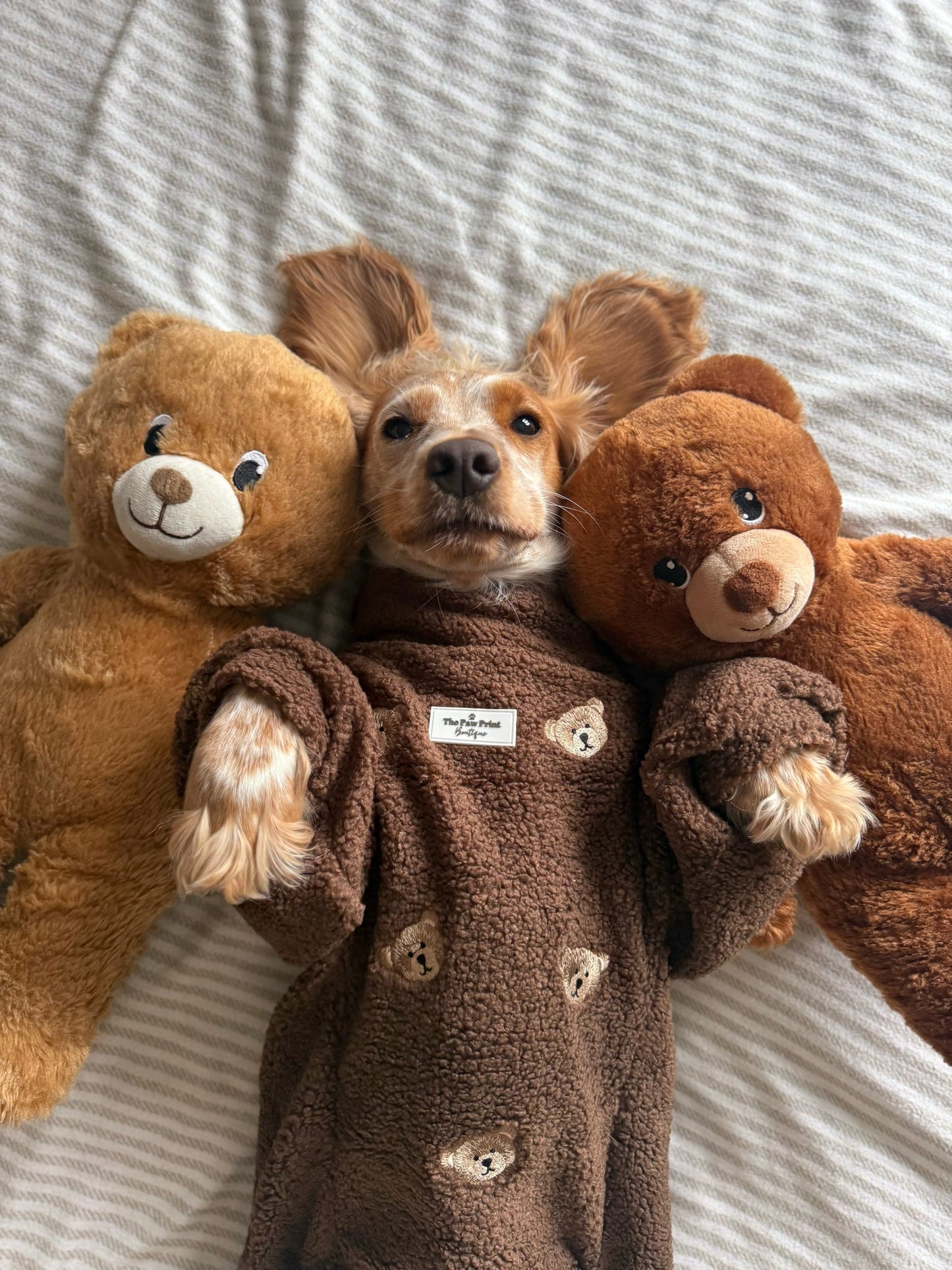 The Embroidered Little Bear Cub Teddy Fleece