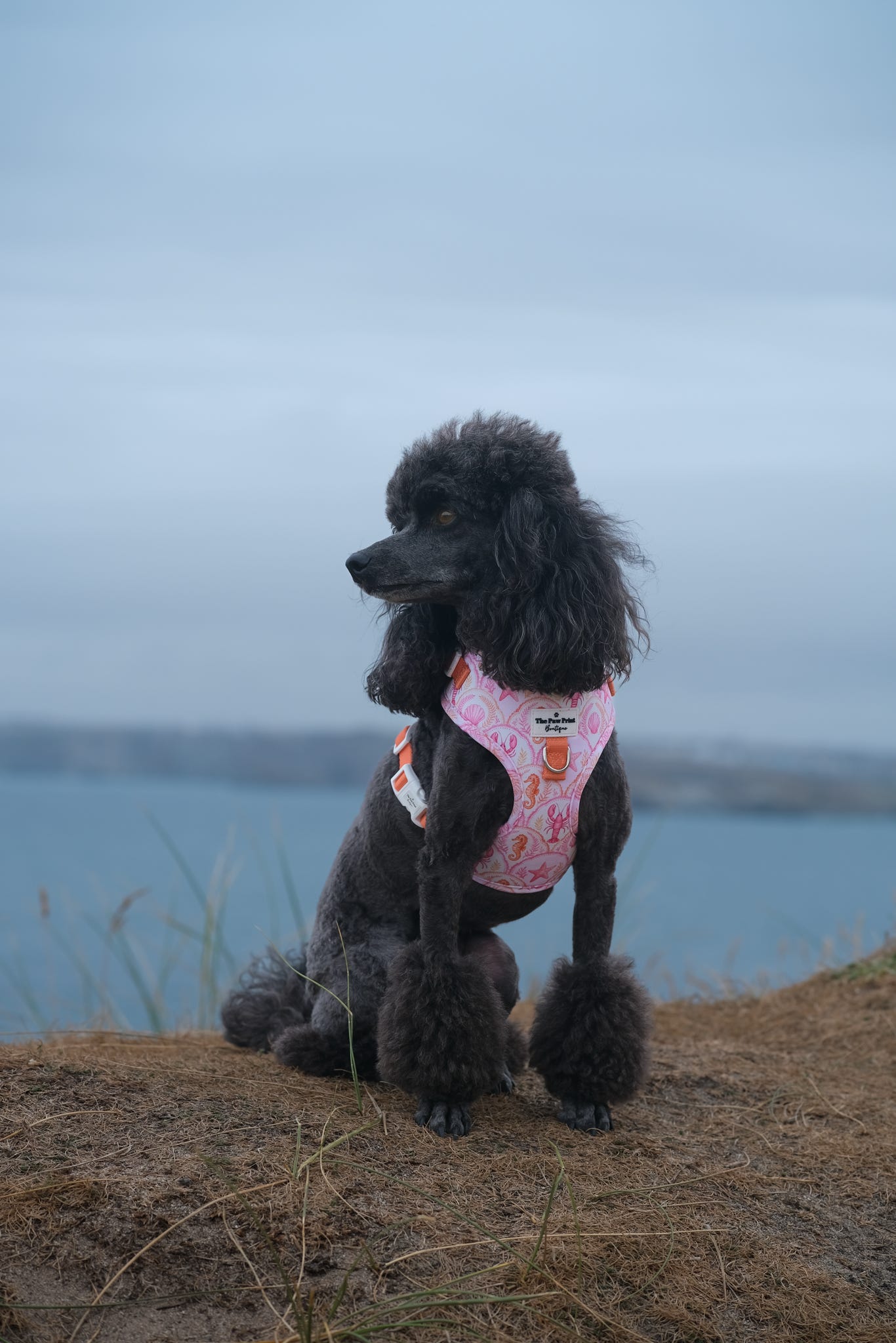 Under the Sea Adjustable Harness
