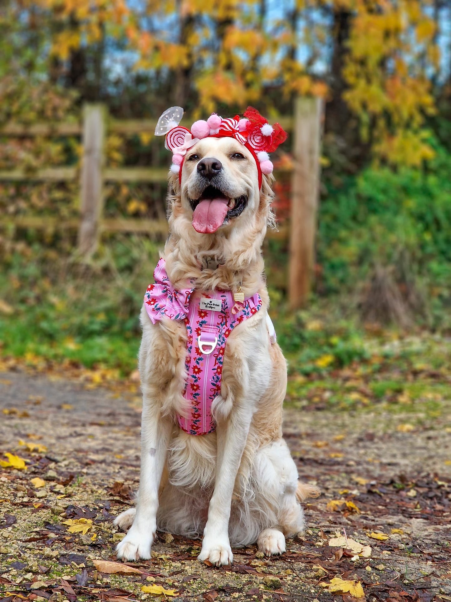 Merry Pinkmas Adventure Paws Harness