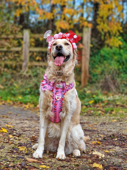 Merry Pinkmas Adventure Paws Harness