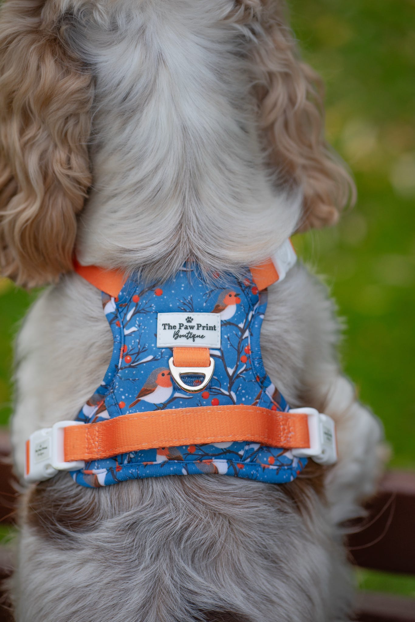 Seasons Tweetings Adventure Paws Harness