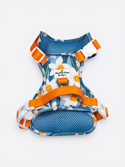 Daffodil Daze Adventure Paws Harness