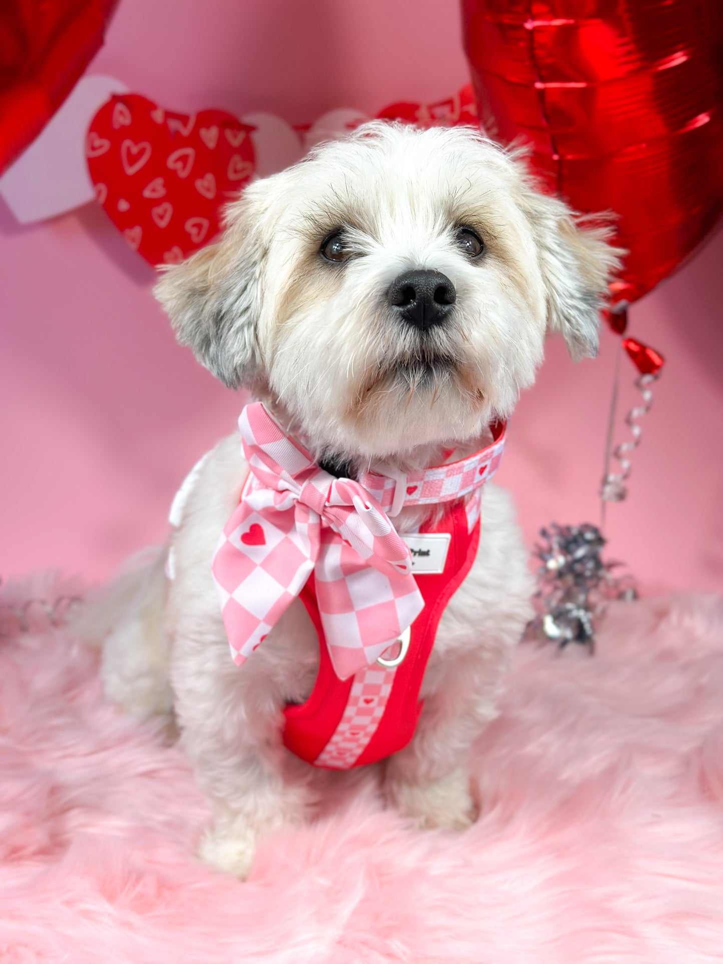 The Fur-ever Love Bow Tie