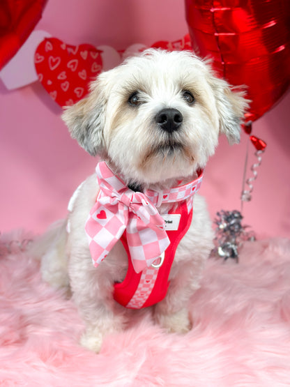 The Fur-ever Love Bow Tie