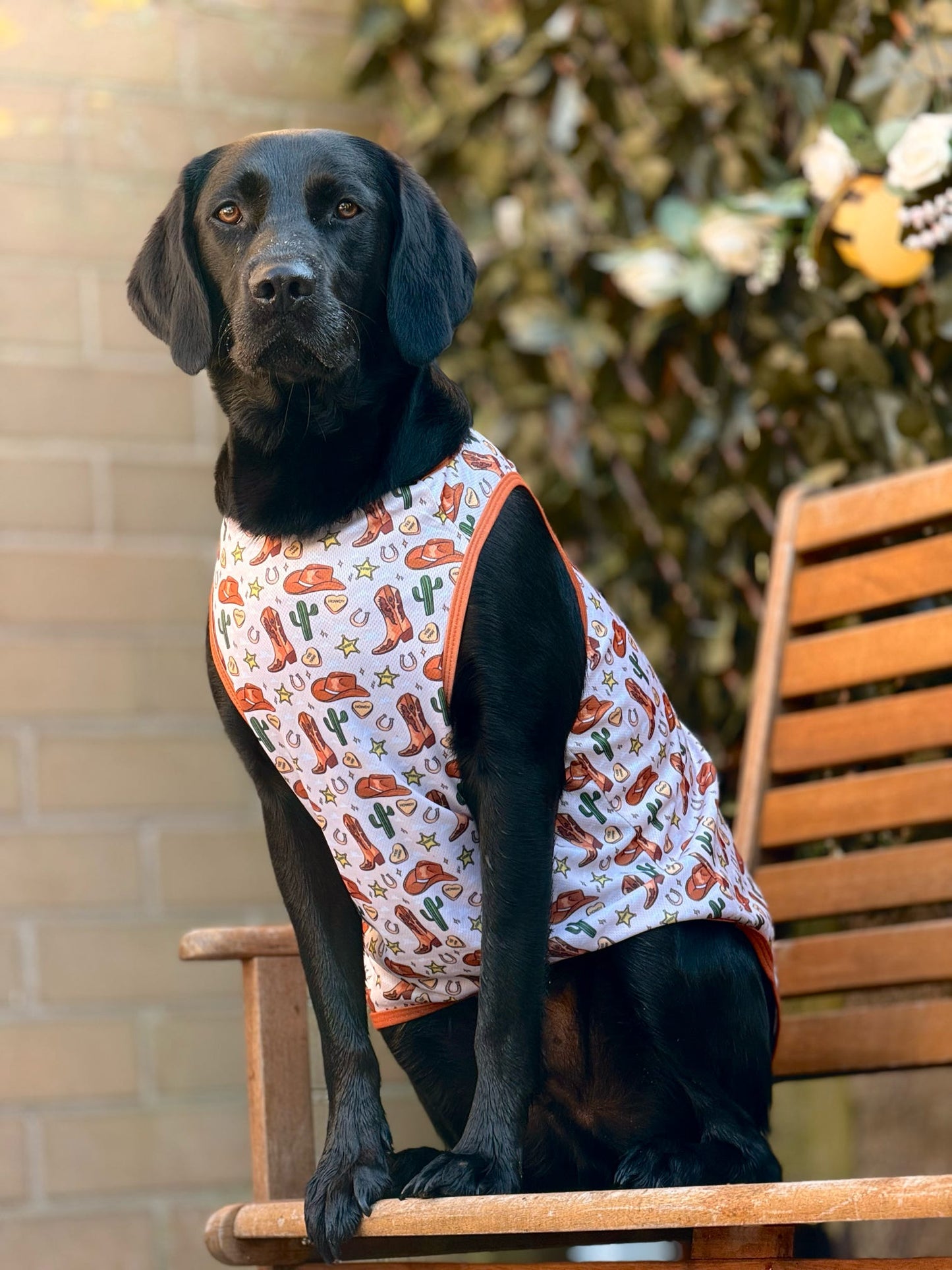 The Howdy Pawtner Cooling Vest