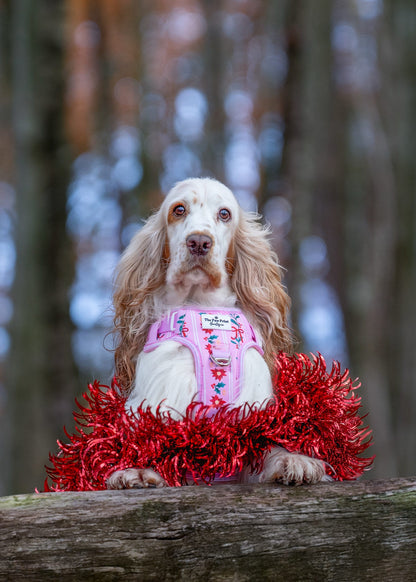 Merry Pinkmas Adventure Paws Harness