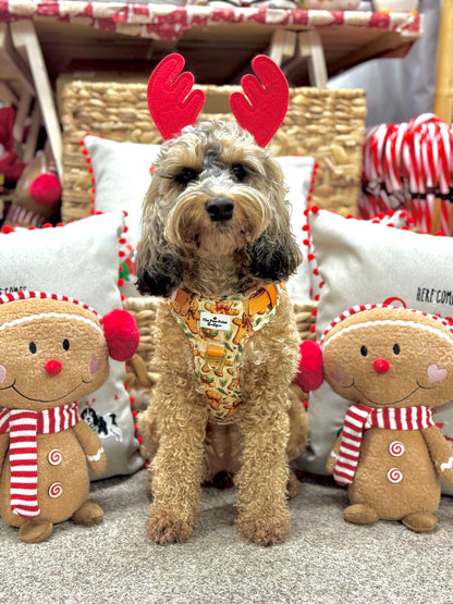Gingerbread Grove Adventure Paws Harness