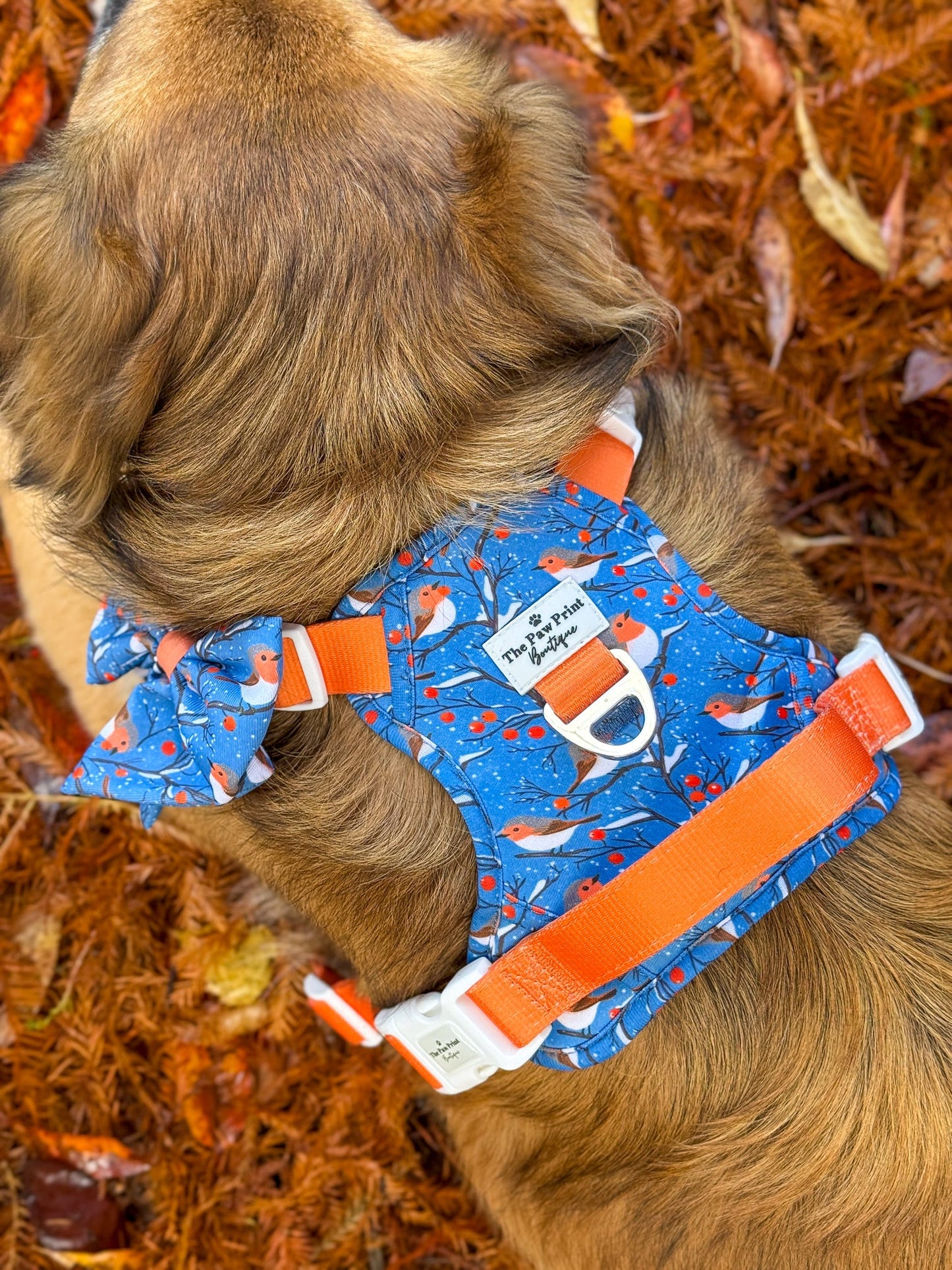 Seasons Tweetings Bow Tie