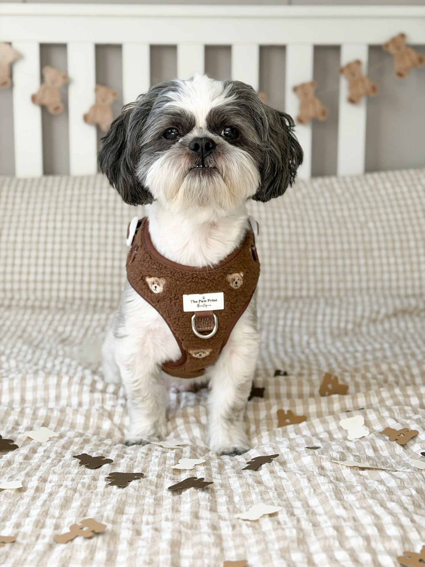 The Embroidered Little Bear Cub Adjustable Harness