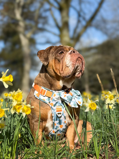 Daffodil Daze Bow Tie