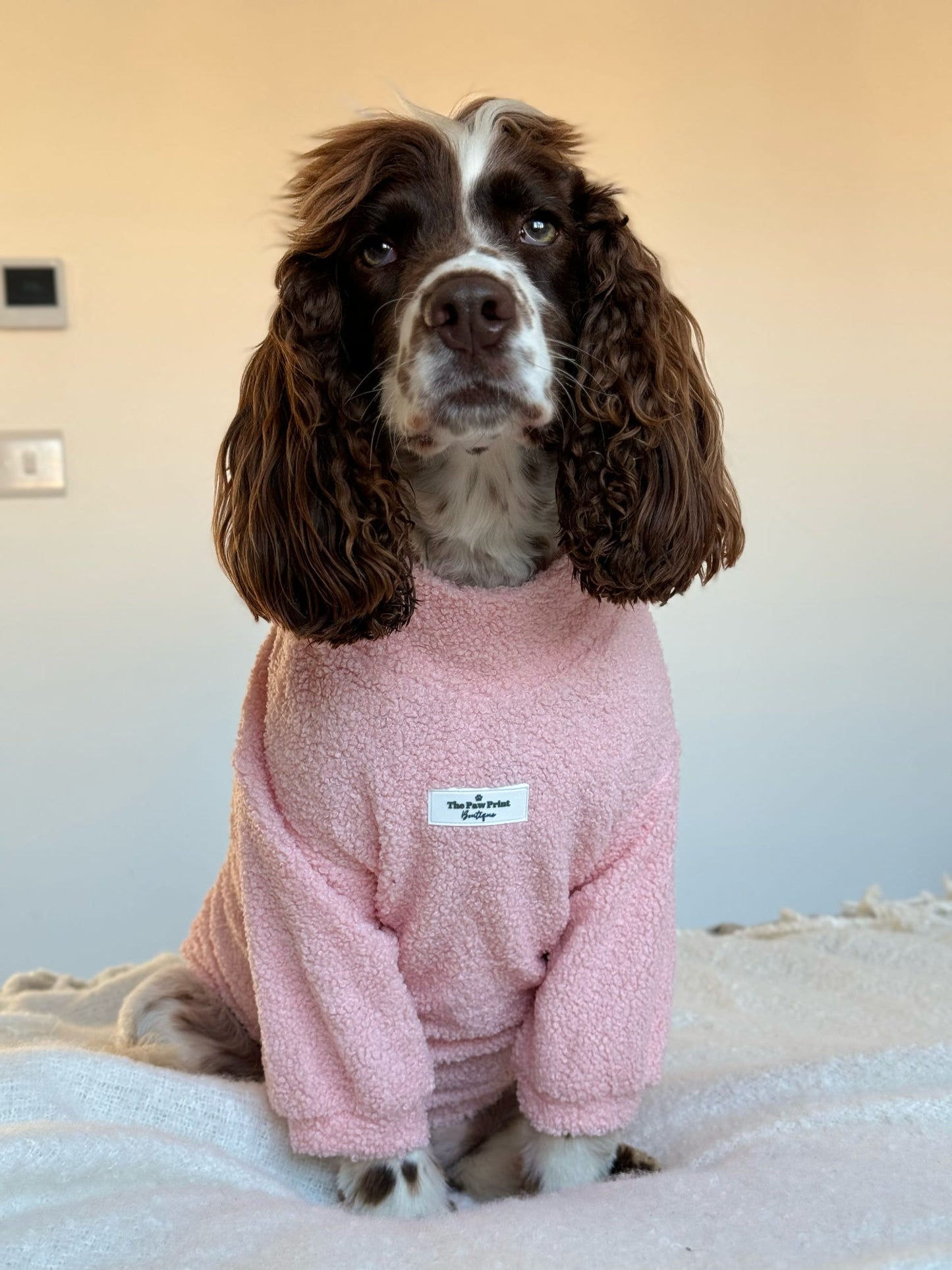 The Baby Pink Teddy Fleece