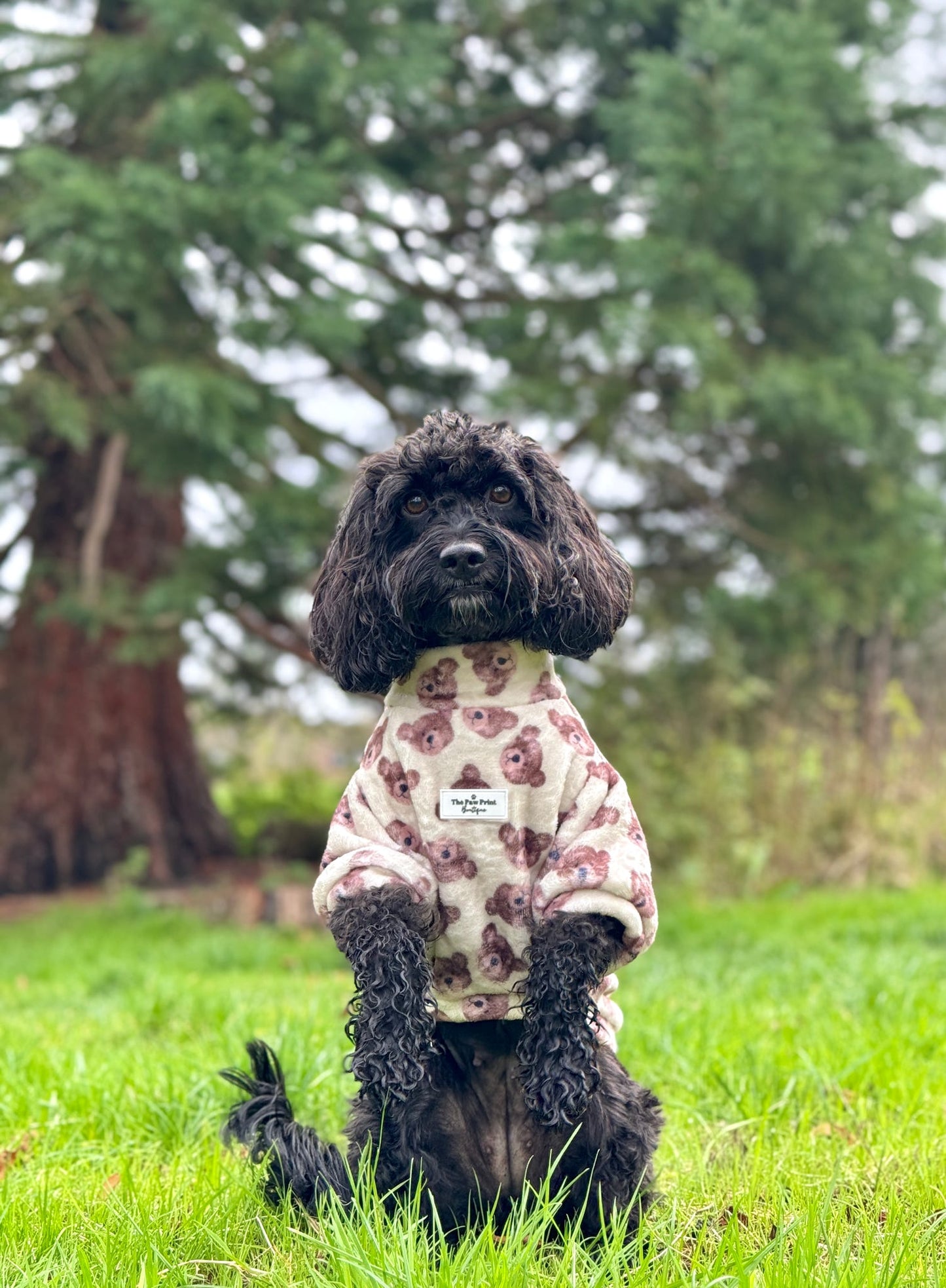 Little Bear Cub Snuggle Fleece