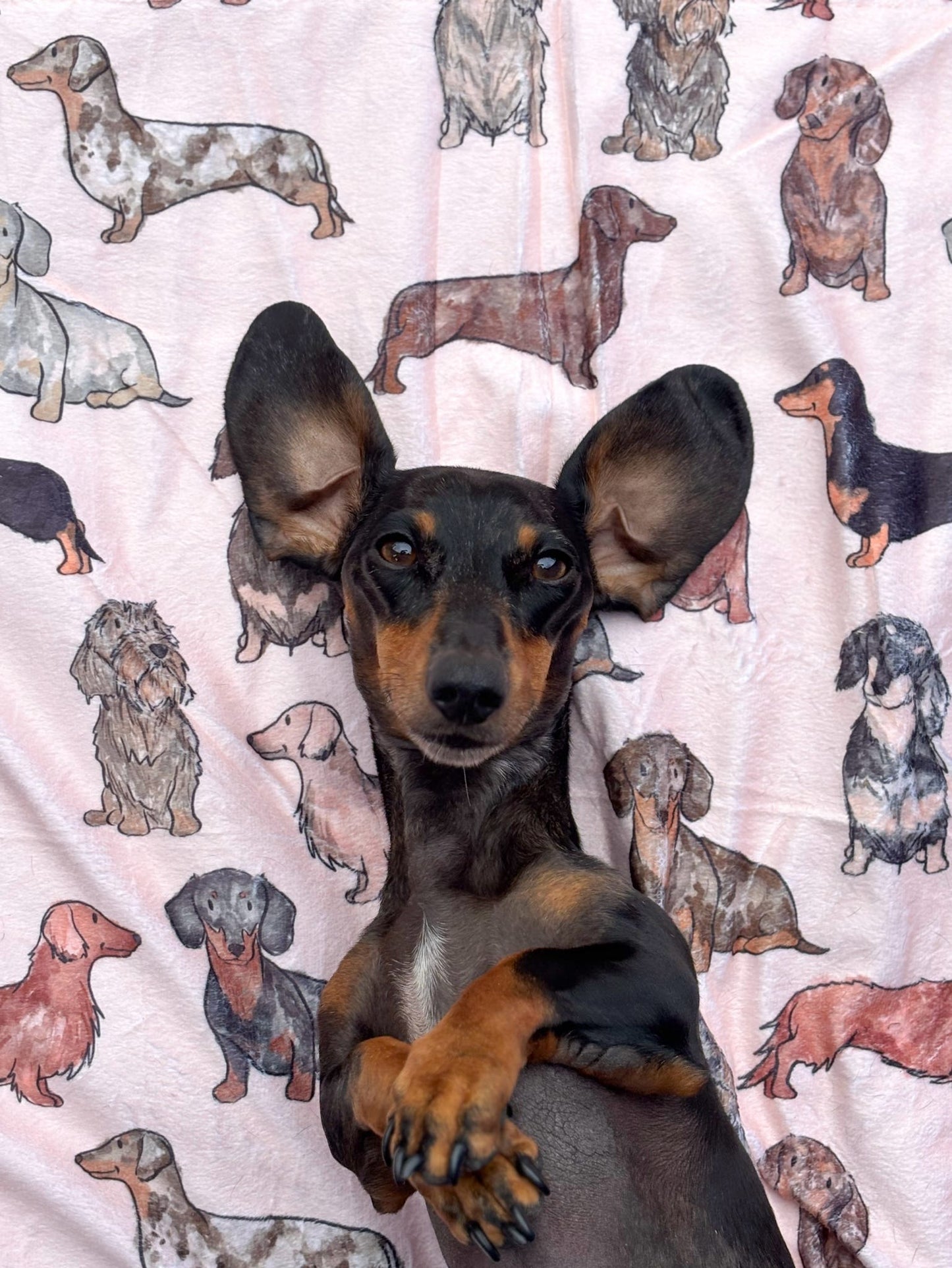 The Dachshund Dog Blanket