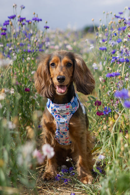 Santorini Seagulls Adventure Paws Harness